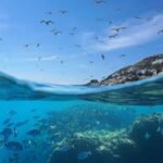 скільки океанів на землі