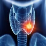 тиреотропний гормон