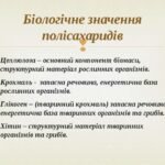 полісахариди