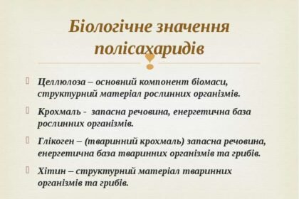 полісахариди