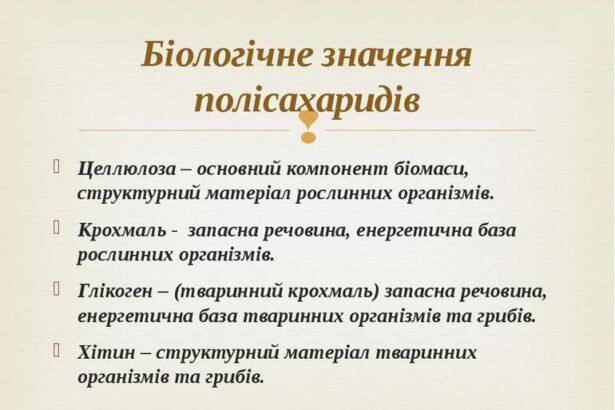 полісахариди