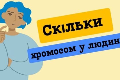 скільки хромосом у людини