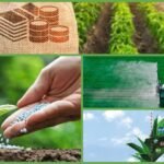 пестициди це