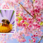 30 квітня свято