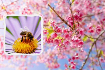 30 квітня свято