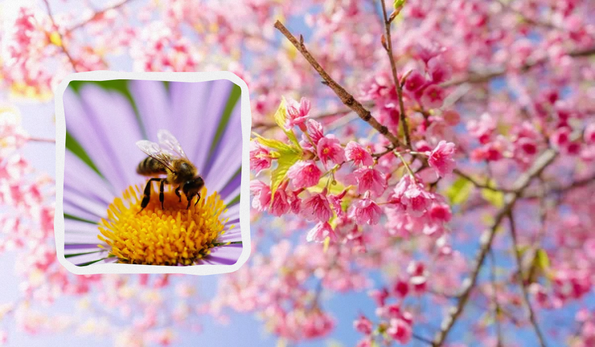 30 квітня свято