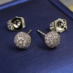 сережки гвоздики